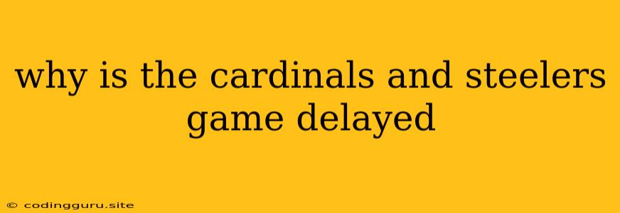 Why Is The Cardinals And Steelers Game Delayed