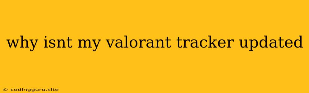 Why Isnt My Valorant Tracker Updated