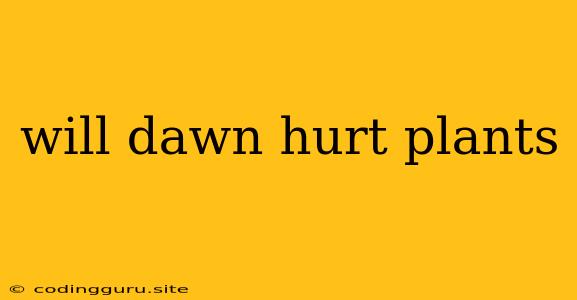 Will Dawn Hurt Plants