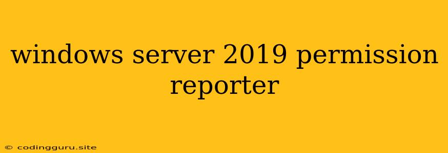 Windows Server 2019 Permission Reporter