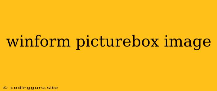 Winform Picturebox Image