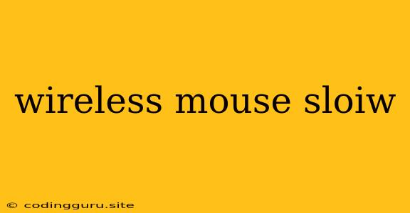 Wireless Mouse Sloiw