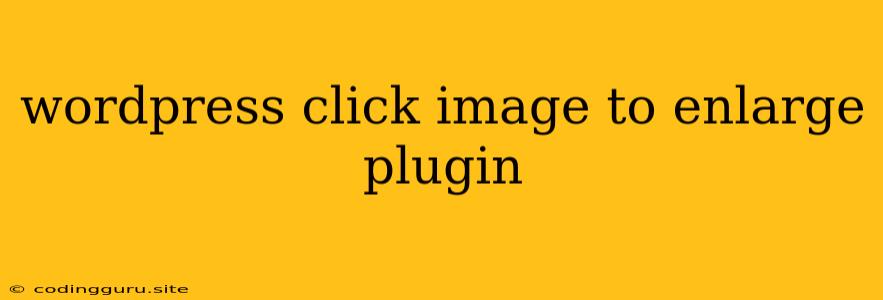 Wordpress Click Image To Enlarge Plugin