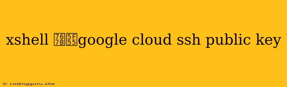 Xshell 登录google Cloud Ssh Public Key