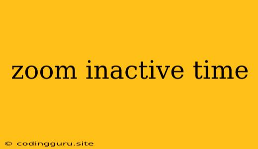 Zoom Inactive Time